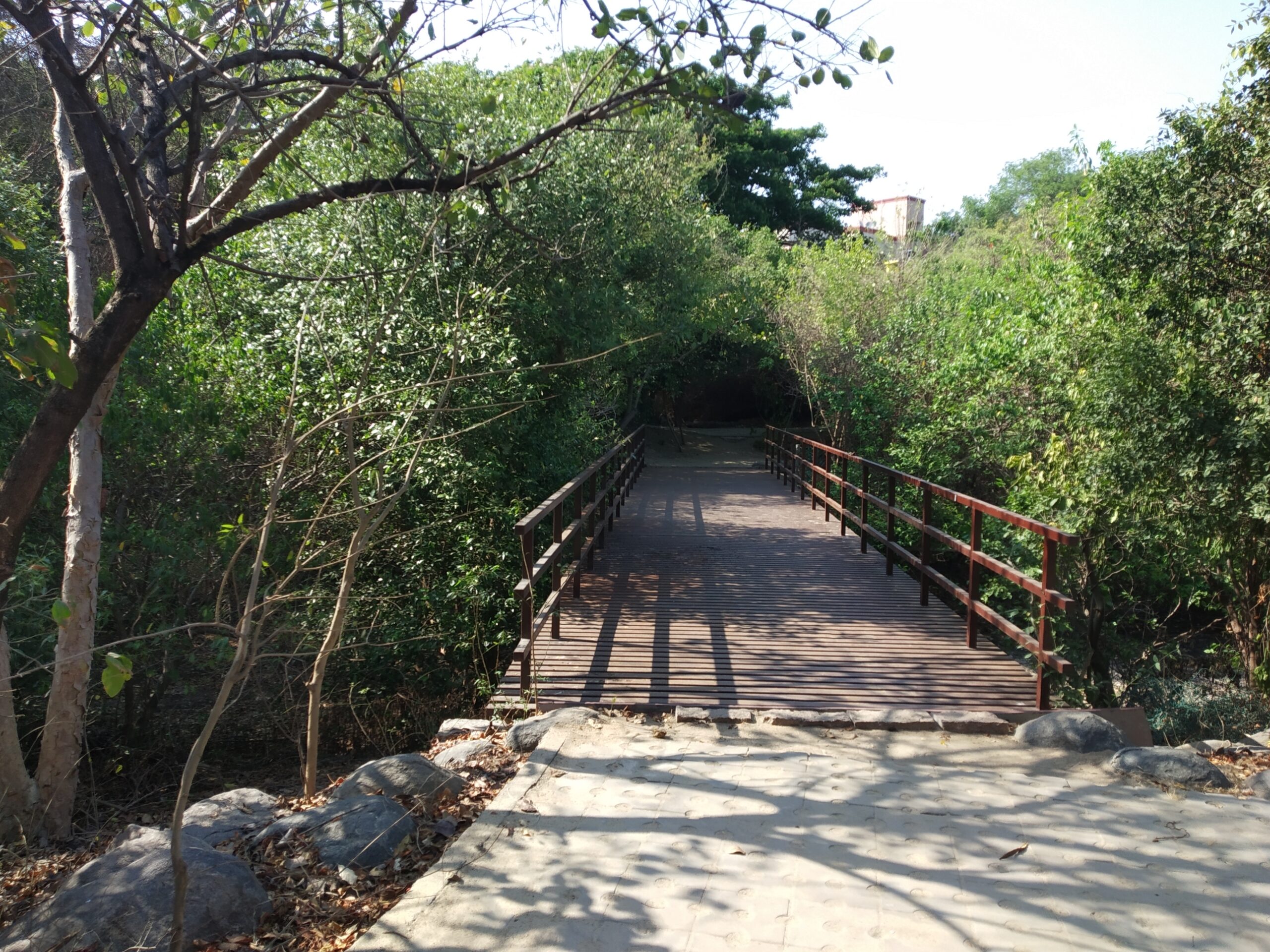 Adyar Eco Park
