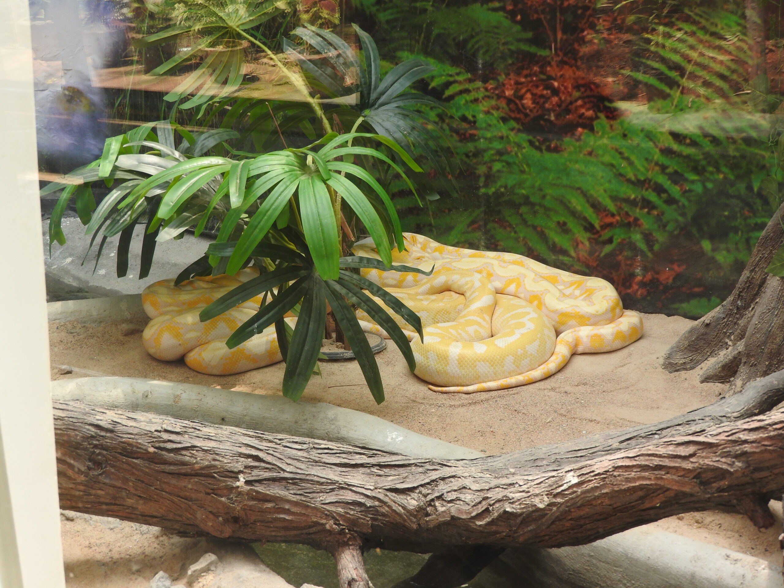 Guindy Snake Park