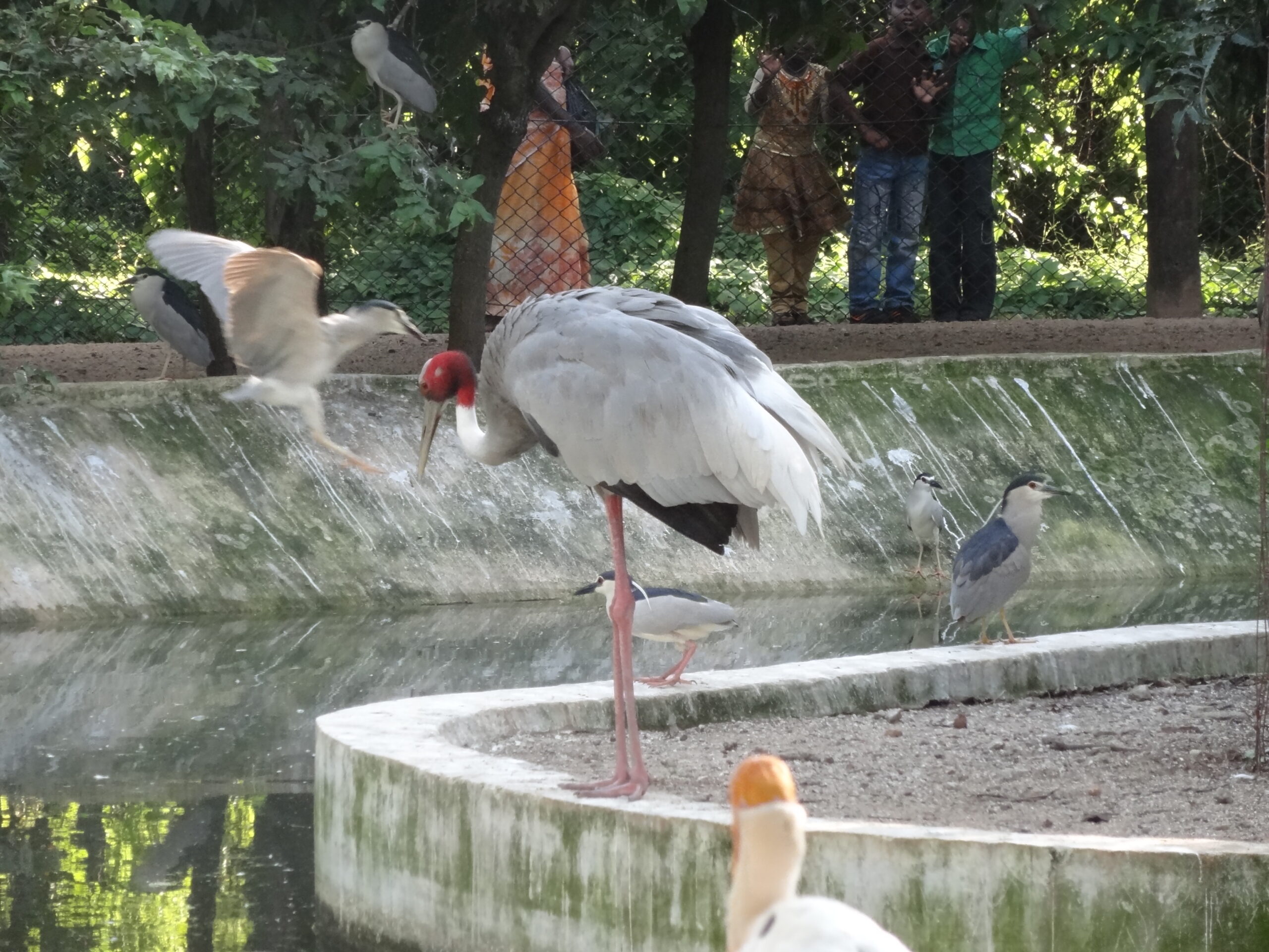 Guindy Children's Park