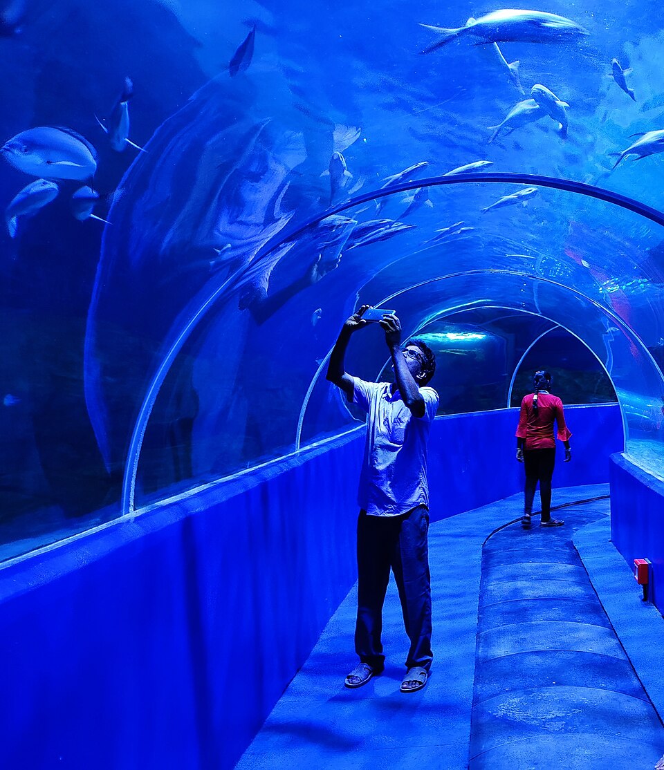 A view of the Underwater tunnel at VGP Marine Kingdom
