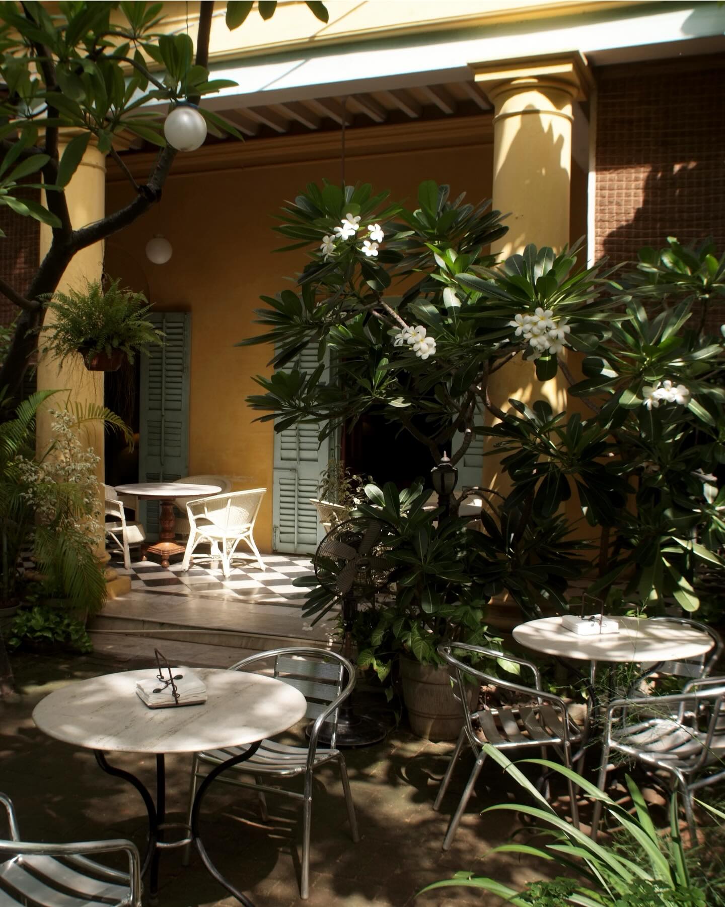 WildGarden Cafe Amethyst Chennai