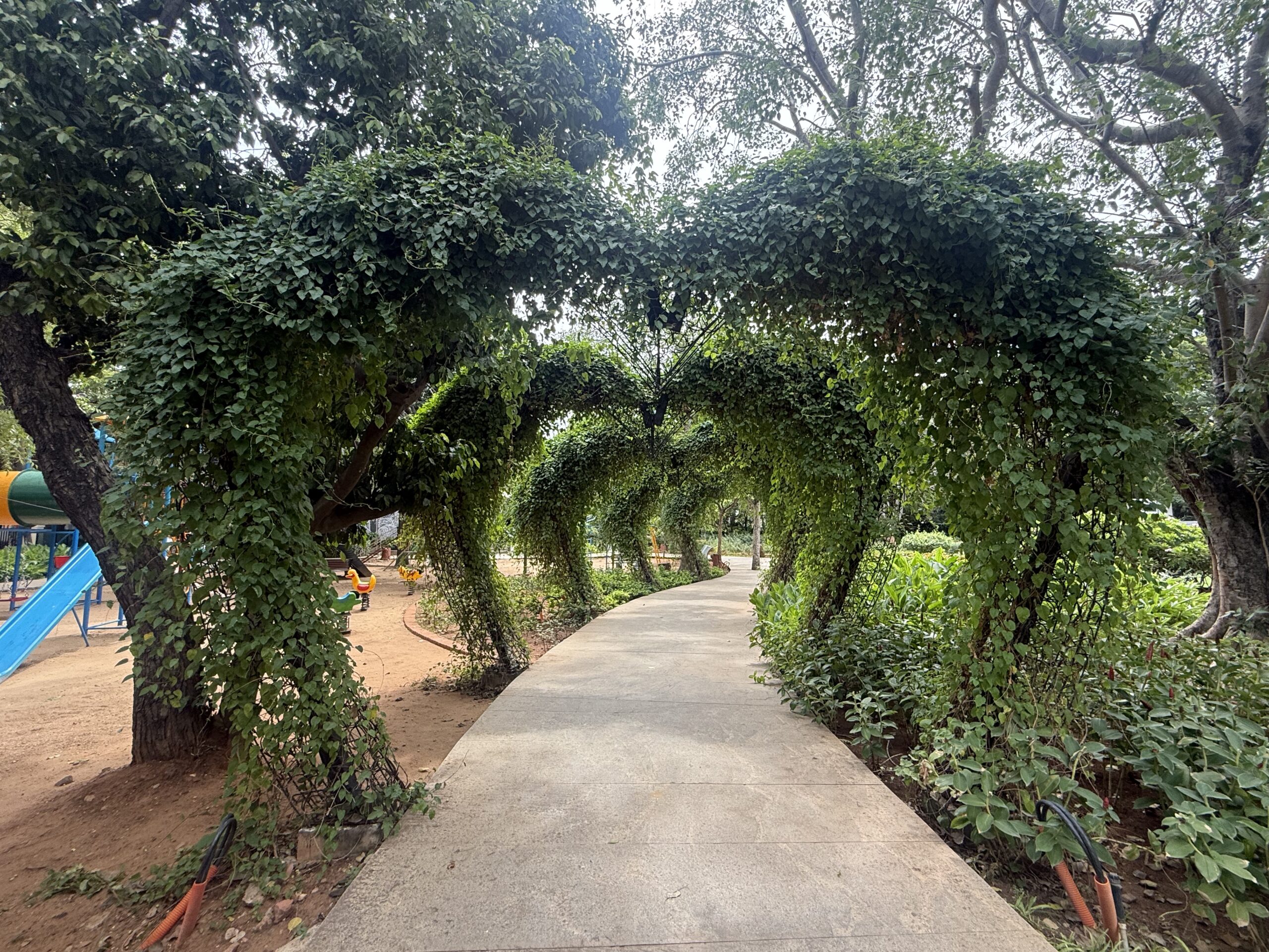 Heart-shaped love symbol along the walkway at Semmozhi Poonga Chennai