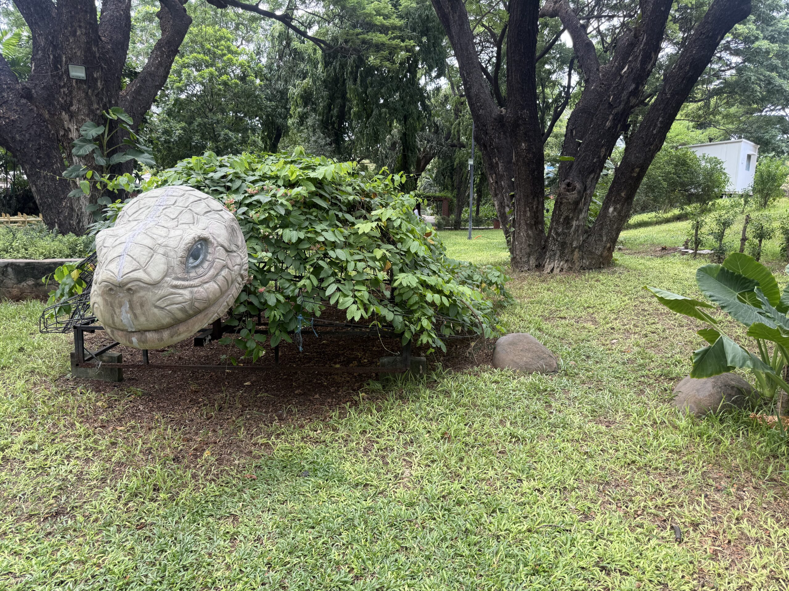 Tortoise sculpture surrounded by plants at Semmozhi Poonga Chennai