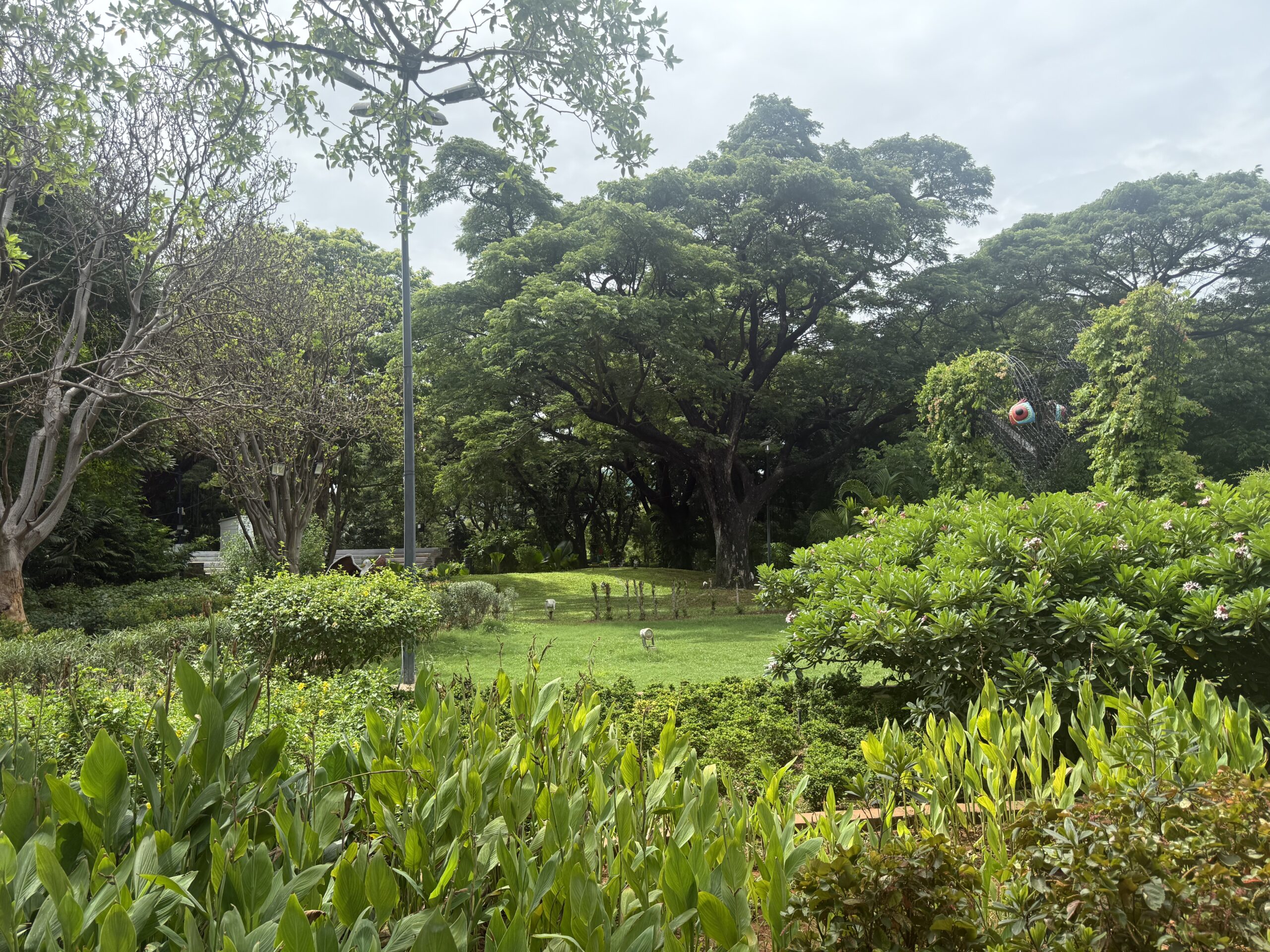 Lush trees and landscaped greenery at Semmozhi Poonga Chennai