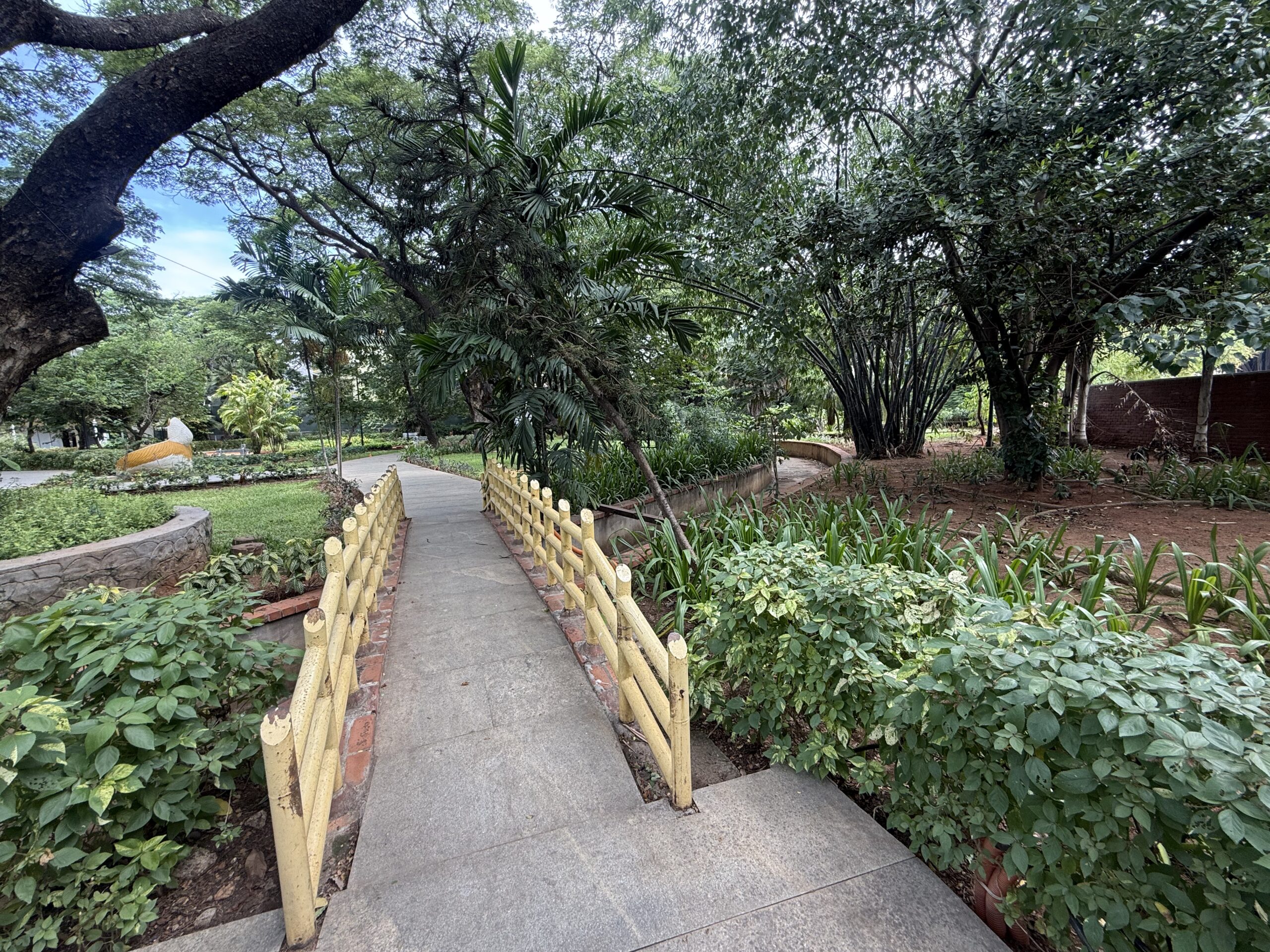 Tree-lined walking path at Semmozhi Poonga in Chennai